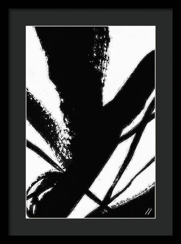 Fly - Framed Print
