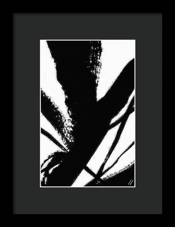 Fly - Framed Print