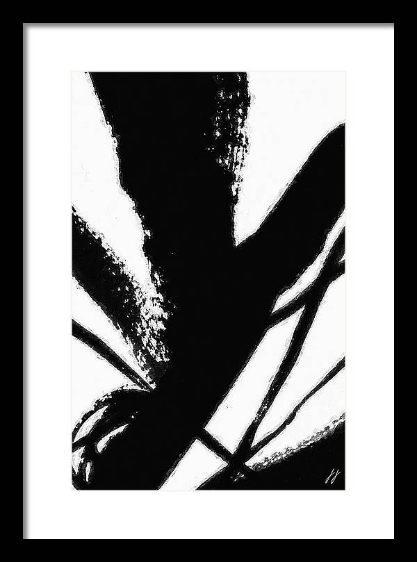 Fly - Framed Print