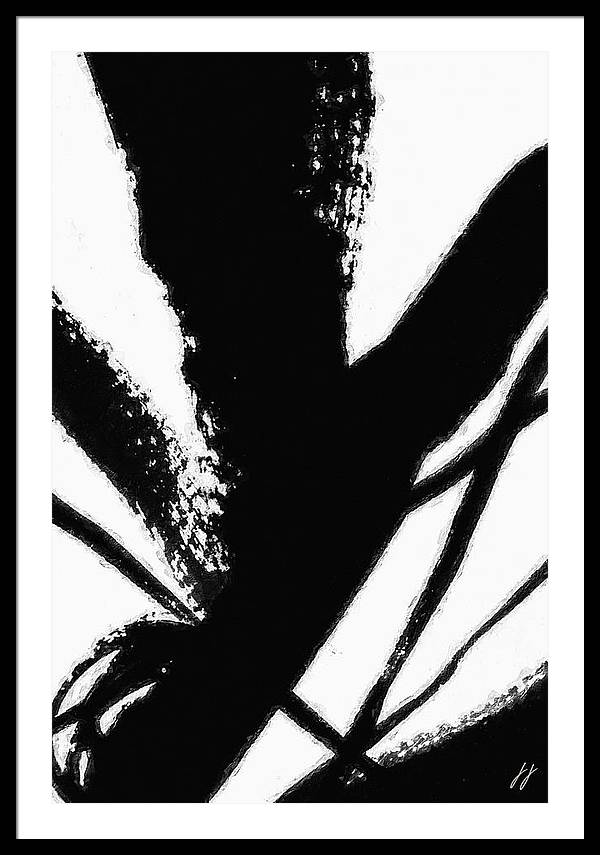 Fly - Framed Print