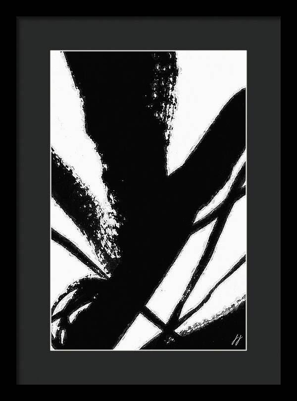 Fly - Framed Print