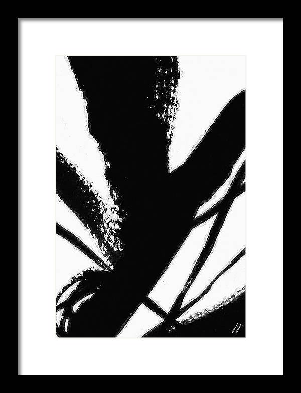 Fly - Framed Print