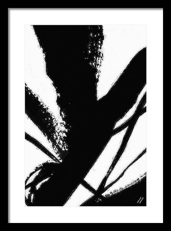 Fly - Framed Print